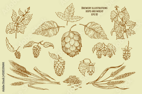 Original vintage illustrations for beer house, bar, pub, brewing company, brewery, tavern, taproom, alehouse, beerhouse, dramshop restaurant