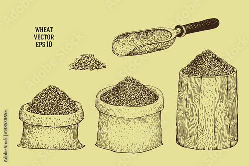 Hand drawn illustrations with wheat grains in sacks and barrels