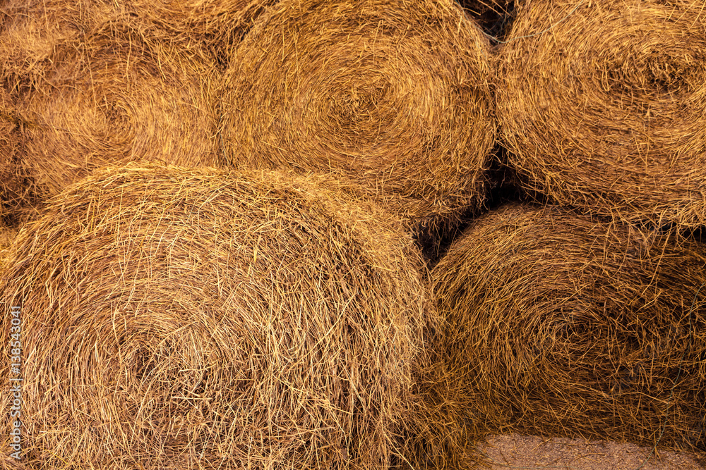 Group of dry rice straw in round shape stacking together. Group of dry rice straw in round shape stacking together.