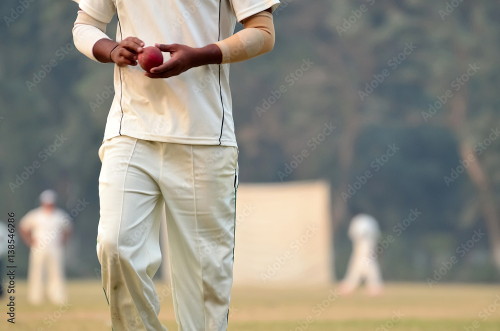 Boy is playing cricke. cricket blower Boy is playing cricke. cricket blower