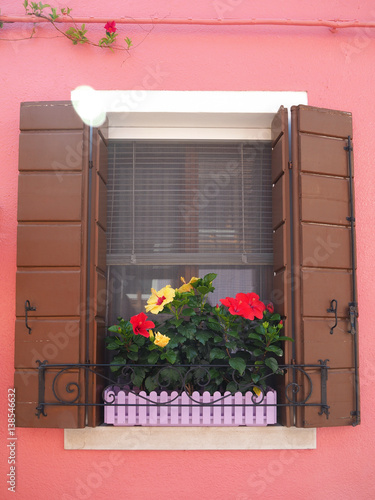 pink window