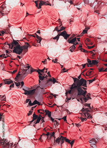 Abstract background of flowers. Faded color tone