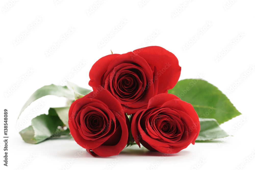 three fresh red roses isolated on white background three fresh red roses isolated on white background