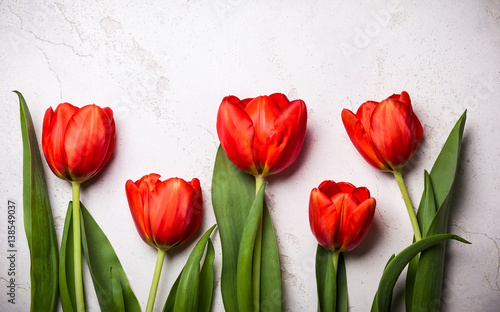 Fototapeta Naklejka Na Ścianę i Meble -  Red tulips