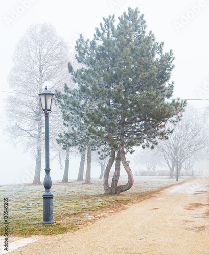 Nice winter scene