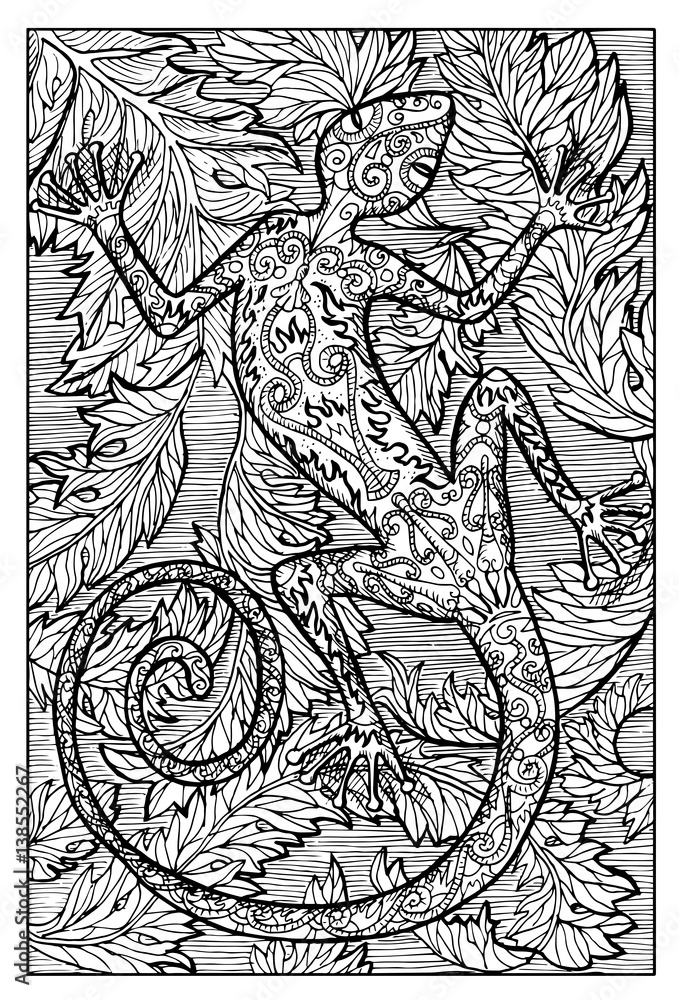 Salamander, fire lizard. Engraved fantasy illustration. See all collection in my portfolio Salamander, fire lizard. Engraved fantasy illustration. See all collection in my portfolio