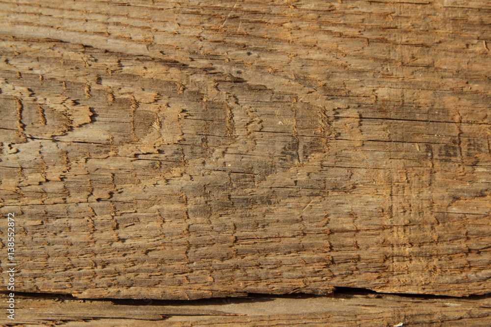 Fototapeta Wood Texture in antique look