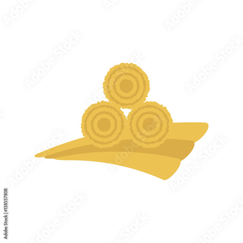 Dried Haystack Icon