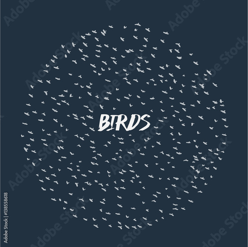 game of birds