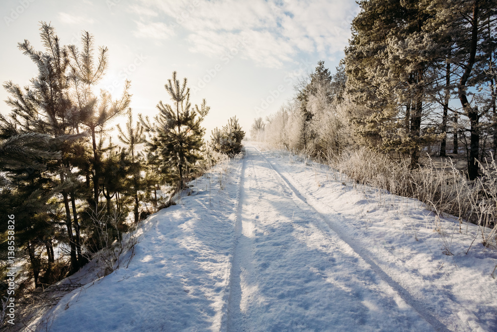 Fototapeta premium Landscape with a beautiful road in the snow