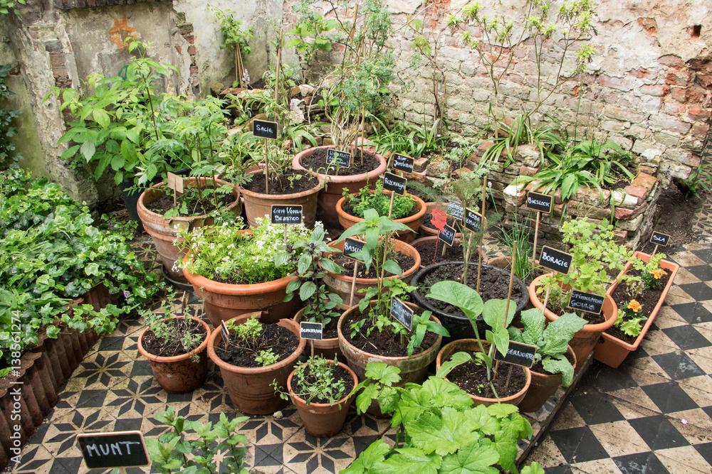 Obraz premium Urban Garden in Bruges