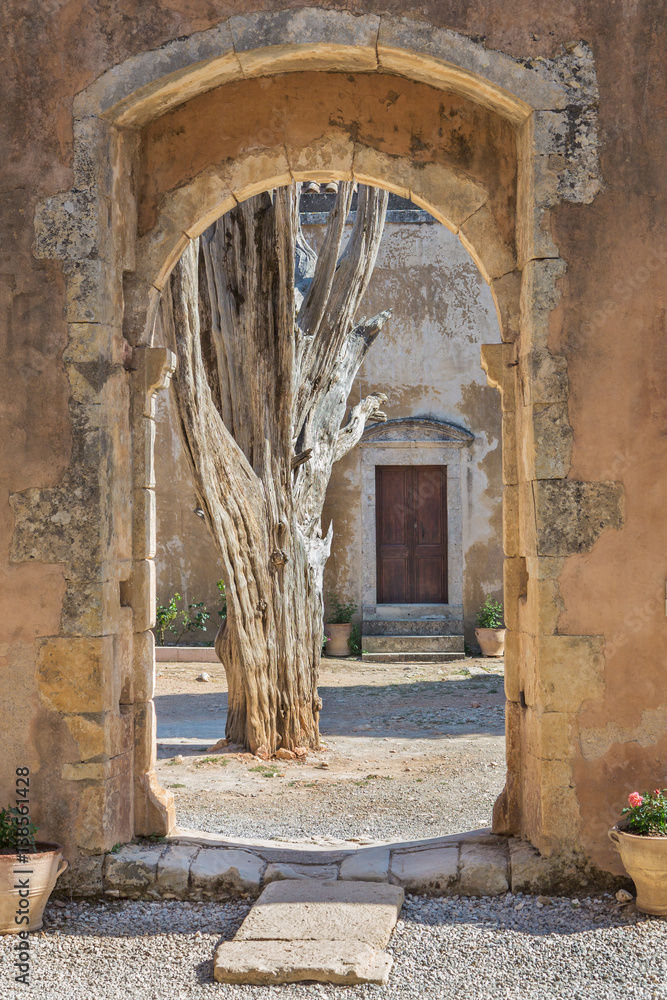 The old tree in the Arkadi Monastery, Crete, Greece (view through arch)