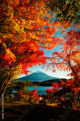 Fototapeta Mt Fuji