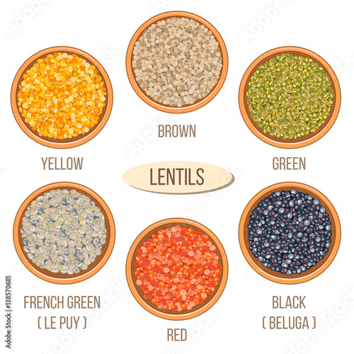 Different types of lentils in bowls. yellow, brown, green, red, french green, black lentils. photo