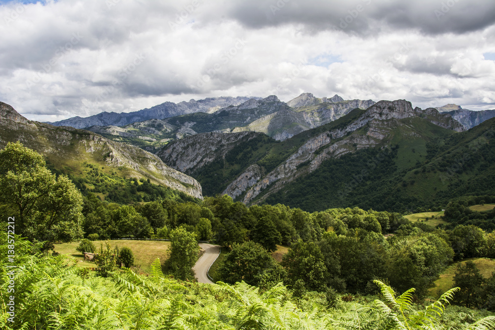 Mountain Landscape in Asturias