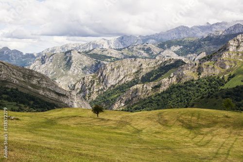 Lanscape in  Covadonga  National Park