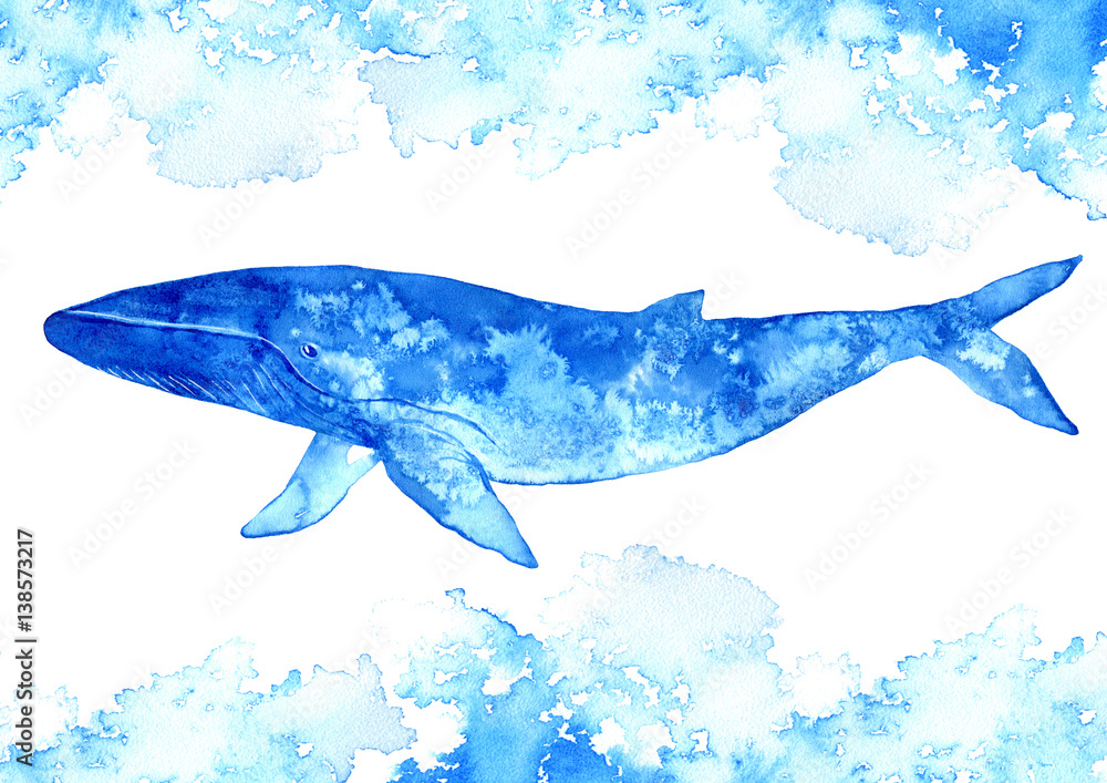 Big Blue Whale and water.Watercolor hand drawn illustration.Underwater animal art.