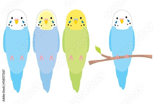 インコのイラスト セキセイインコ Stock イラスト Adobe Stock インコのイラスト セキセイインコ Stock イラスト Adobe Stock