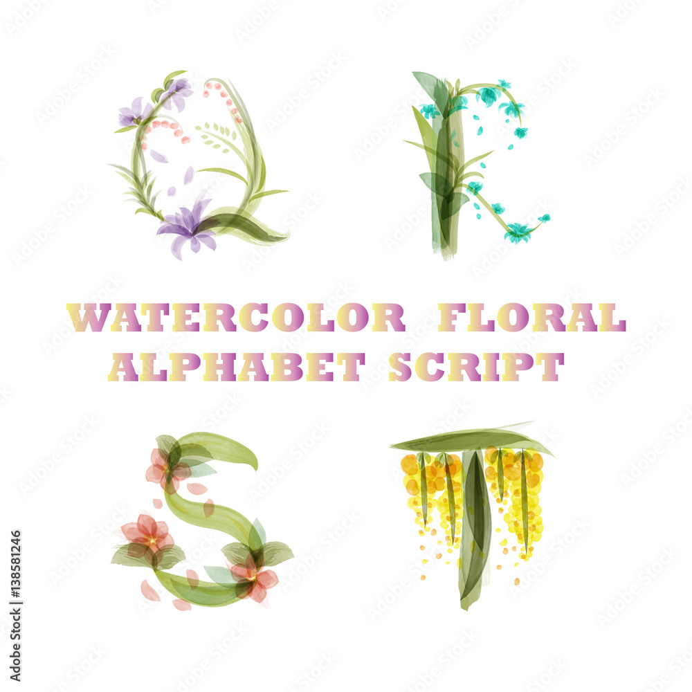 vector floral hand draw vintage script font watercolor style isolated ...