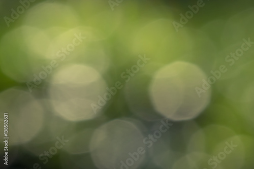 abtract Bokeh  blur with background green nature