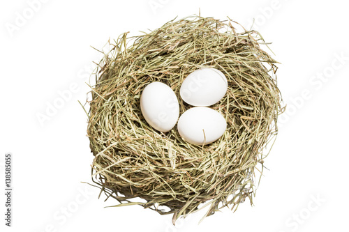 The eggs in the nest (image with clipping path)