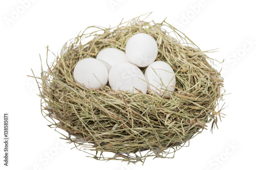 Eggs (image with clipping path)