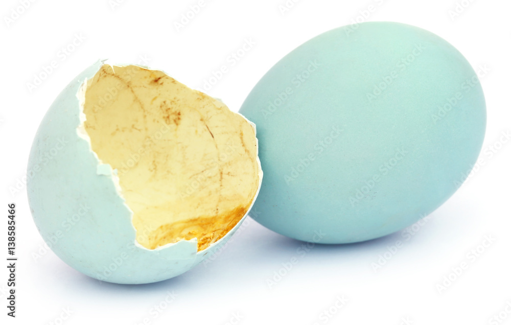 Eggs of pond heron Eggs of pond heron