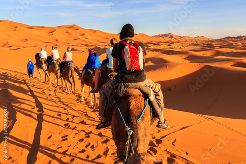 Caravan of camels with tourist in the desert at sunset