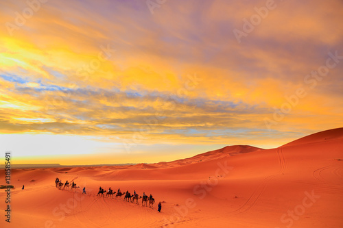 Caravan of camels with tourist in the desert at sunset against a beautiful sky