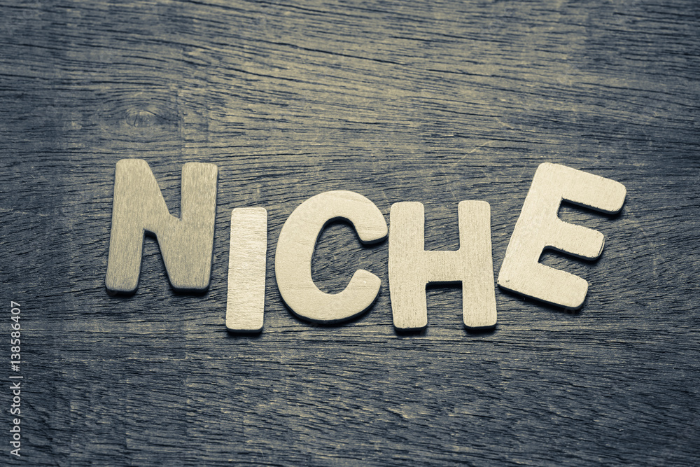 Fototapeta premium Niche