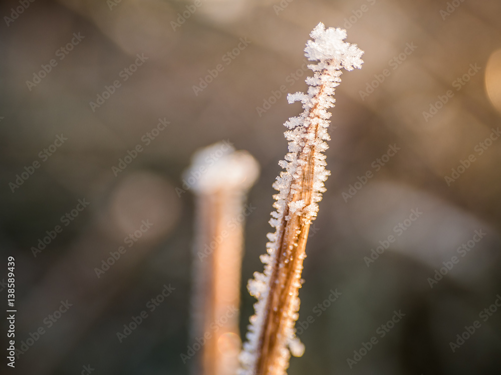 Naklejka premium OLYMPUS DIGITAL CAMERA