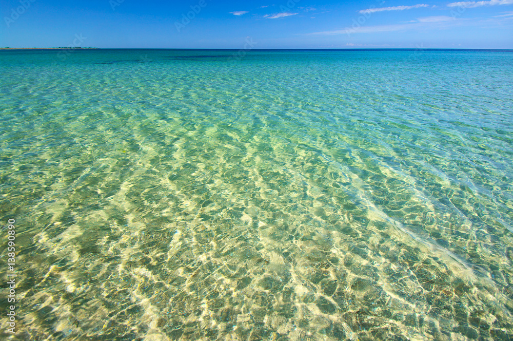Obraz premium Summer sunny sea beach