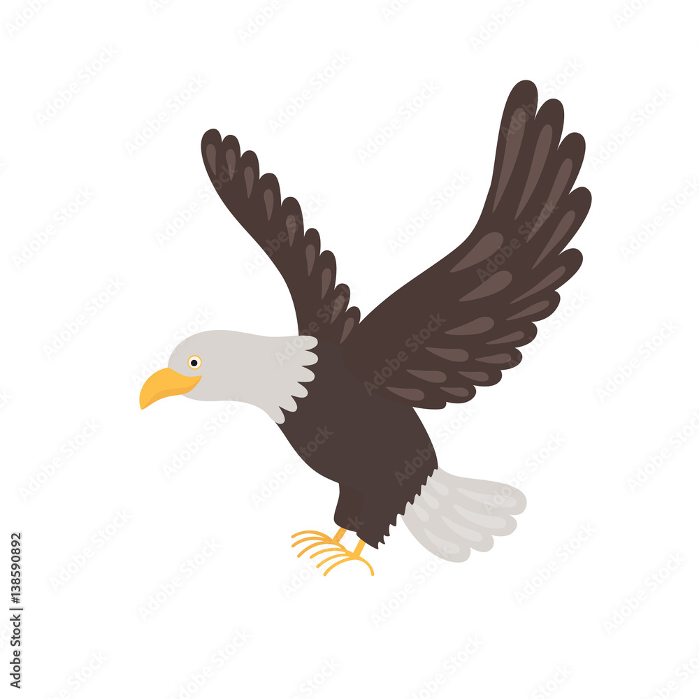 Fototapeta premium Bald eagle isolated on white background.
