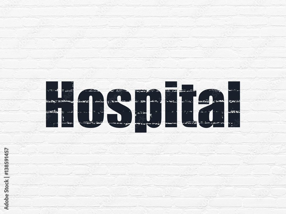 Medicine concept: Hospital on wall background Medicine concept: Hospital on wall background