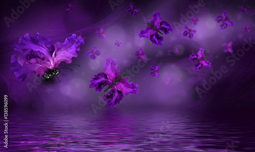 Amazing butterfly fairy of flowers, hydrangeas and iris.