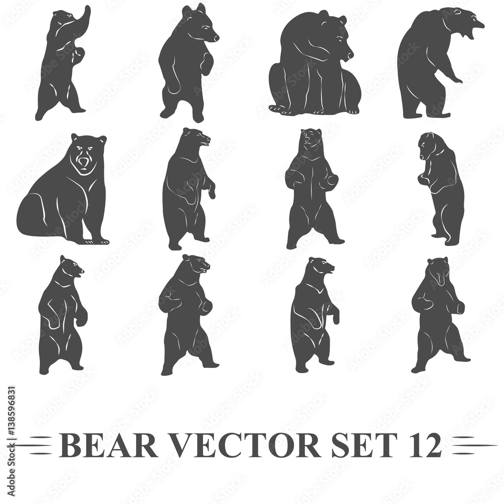 Naklejka premium набор векторных медведей
