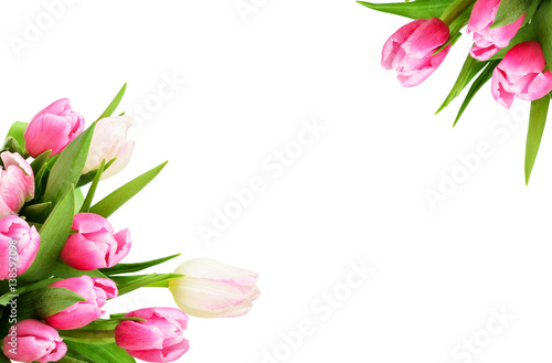 Fototapeta Naklejka Na Ścianę i Meble -  Pink tulip flowers corners
