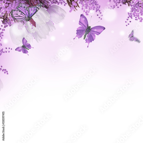 Amazing tulips with mimosa and butterflies background of flora and fauna, flowers