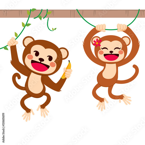 Two cute funny monkeys on liana sharing banana fruit with love