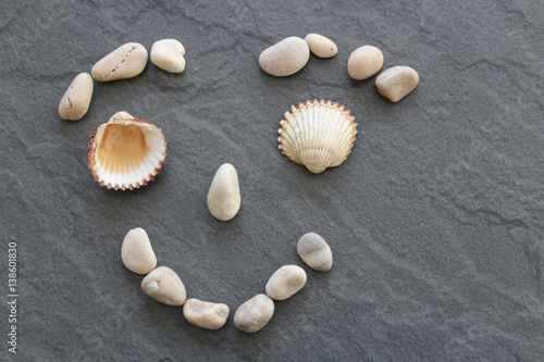 Sea shell with stone on dark background. Designed to face with one eye open