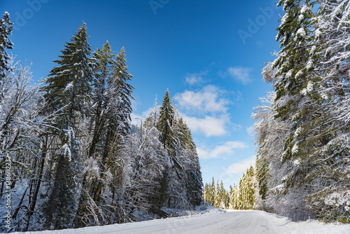 Fototapeta Naklejka Na Ścianę i Meble -  Winter route in forest in Oregon