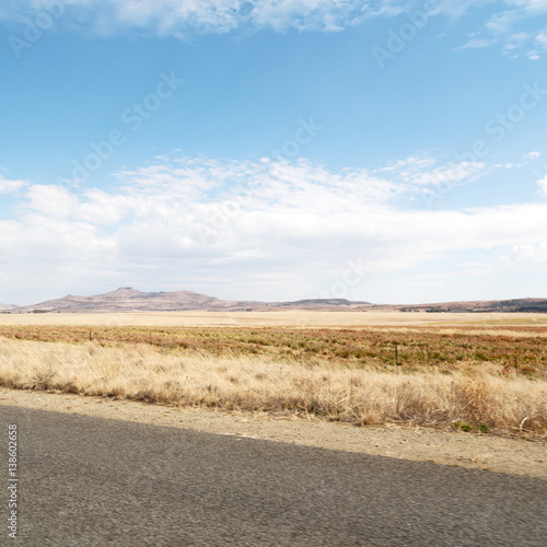   in south africa  land bush       and  grass