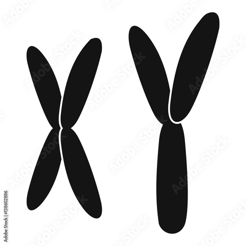 Human chromosomes icon, simple style photo