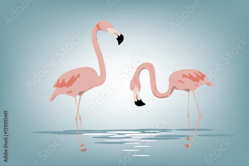 pink flamingos vector