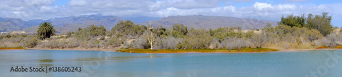 View on the natural reserve La Charca on Maspalomas, Gran Canaria, Spain.