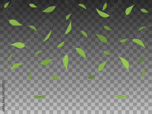 Vector illustration set green tree leaves falling