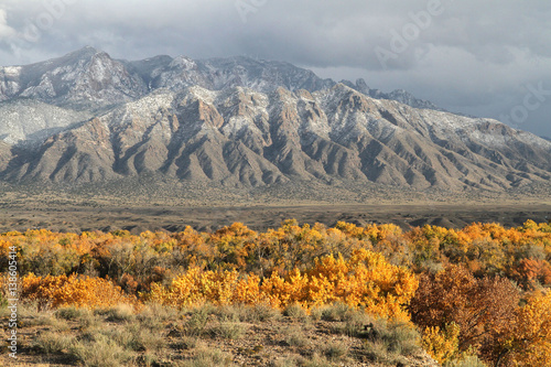 Sandia Mountains and cottonwood forest in autumn along Rio Grande in central New Mexico