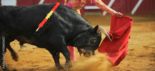 El Toro - Bullfigth corrida photo