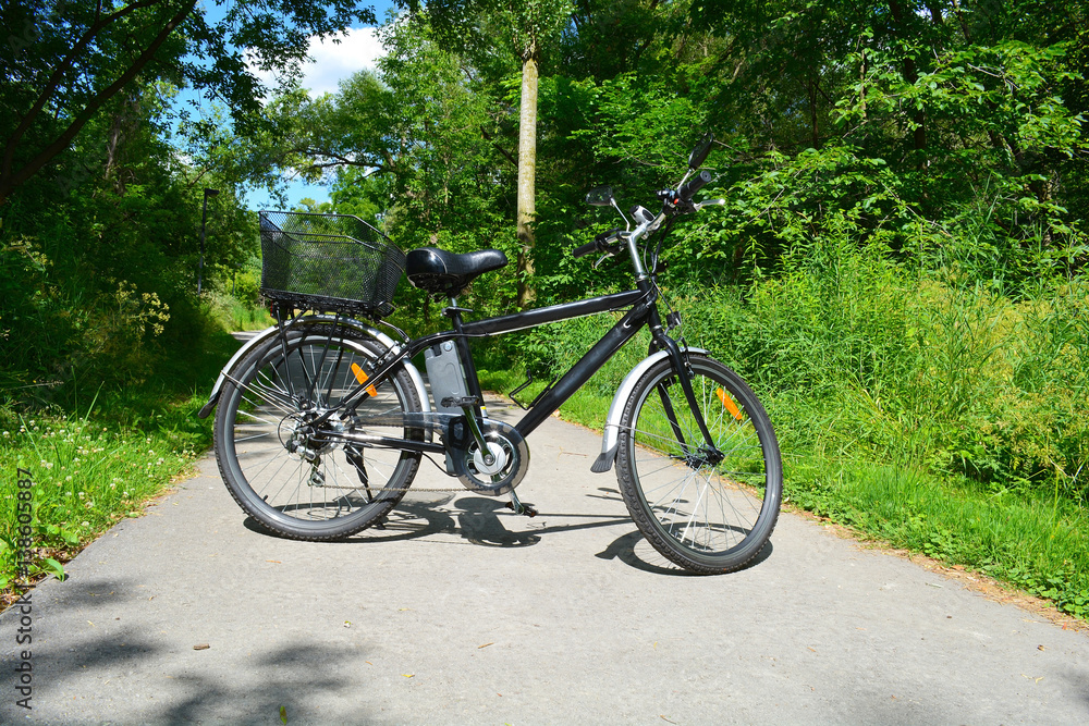 Electric bicycle in the Canadian park in sunny summer day. Unfiltered, with natural lighting