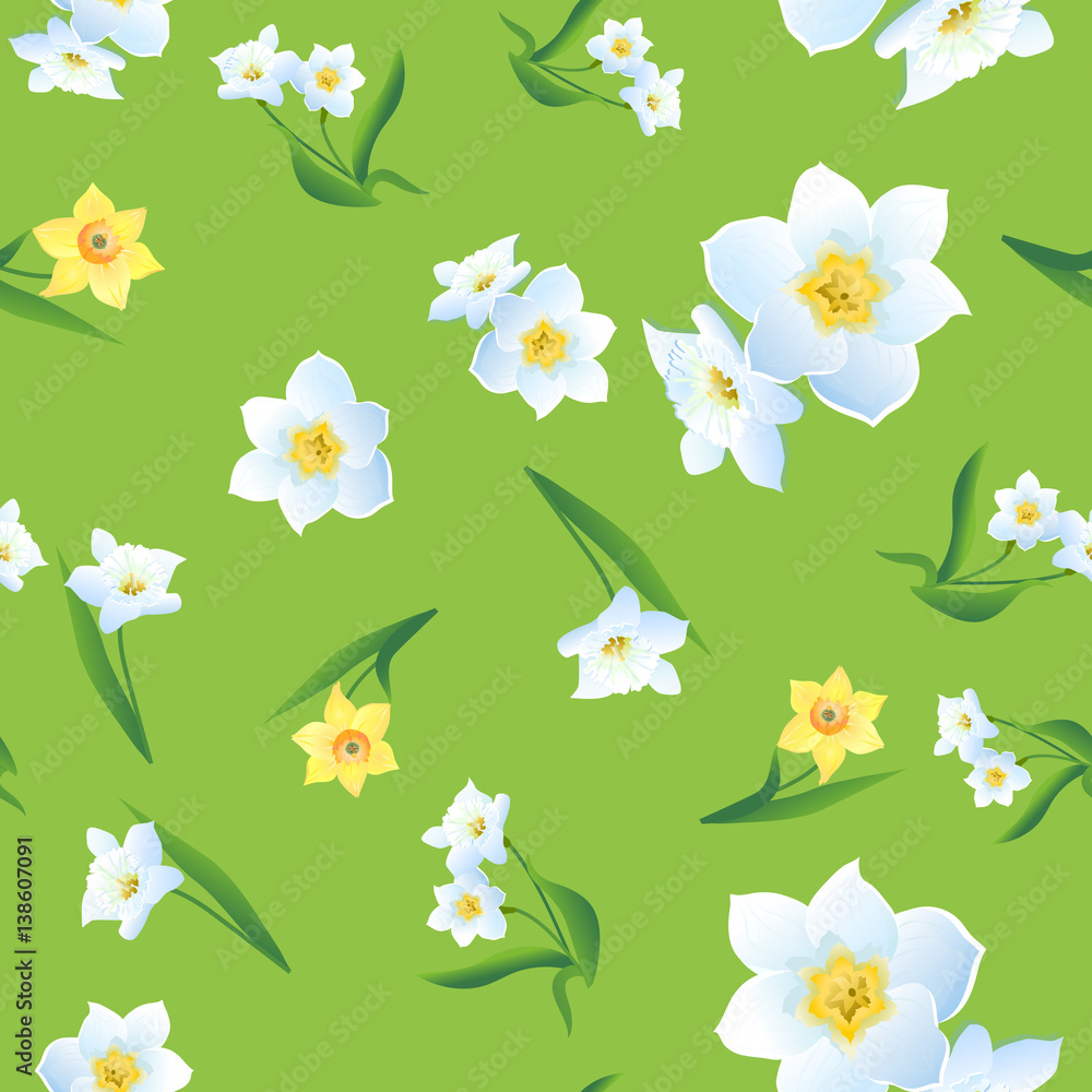 Daffodils on a Green Background-01